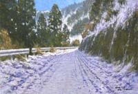 剣山に向かうスーパー林道。道一面に雪が積もり、タイヤの跡がはっきりと分かる。雪の色は影の部分では青く、光が当たっているか書はやや黄色く暖かみのある白。カーブを曲がると日が差しているようだ。